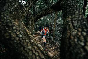 BIB: 
                            <button type="button" onclick="openModal(25392413)" class="btn btn-primary btn-sm float-right btn-popup" data-toggle="modal" data-target=".modal-high-quality">
                        <i class="fas fa-shopping-cart"></i> Add to Cart
                    </button>
                                            <button type="button" onclick="isThisMe(25392413, true)" class="btn btn-success btn-sm float-right btn-popup btn-isme hidden" data-toggle="tooltip" data-placement="bottom" title="นี่คือรูปของคุณใช่ไหม คลิกที่นี่เพื่อเอาเข้าอัลบั้ม">
                        <i class="fas fa-plus"></i> Add to album
                    </button>
                    <button type="button" onclick="isThisMe(25392413, false)" class="btn btn-warning btn-sm float-right btn-popup btn-isnotme hidden">
                        <i class="fas fa-ban"></i> Remove from album
                    </button>